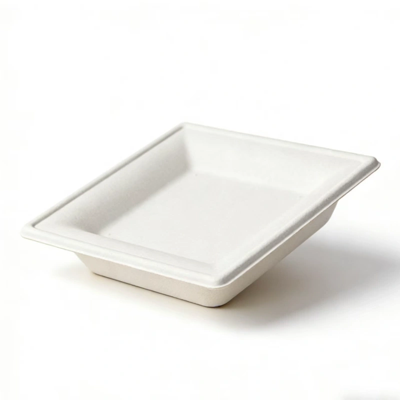 assiette carrée jetable en bagasse2
