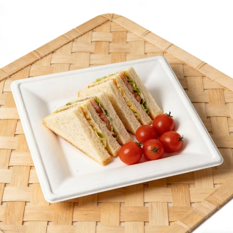 assiette carrée jetable en bagasse3