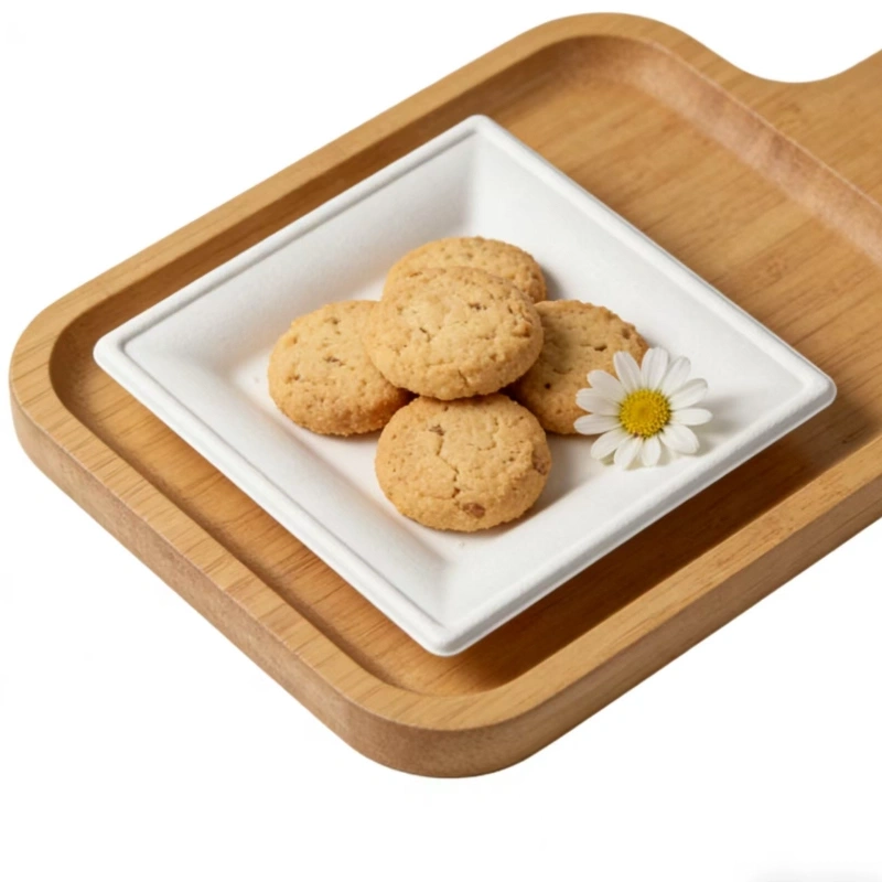 disposable bagasse square plate9