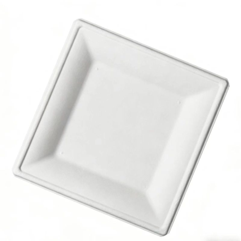 assiette carrée jetable en bagasse