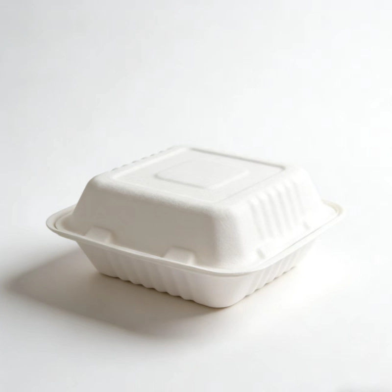 Einweg-Bagasse-Schließfach 3