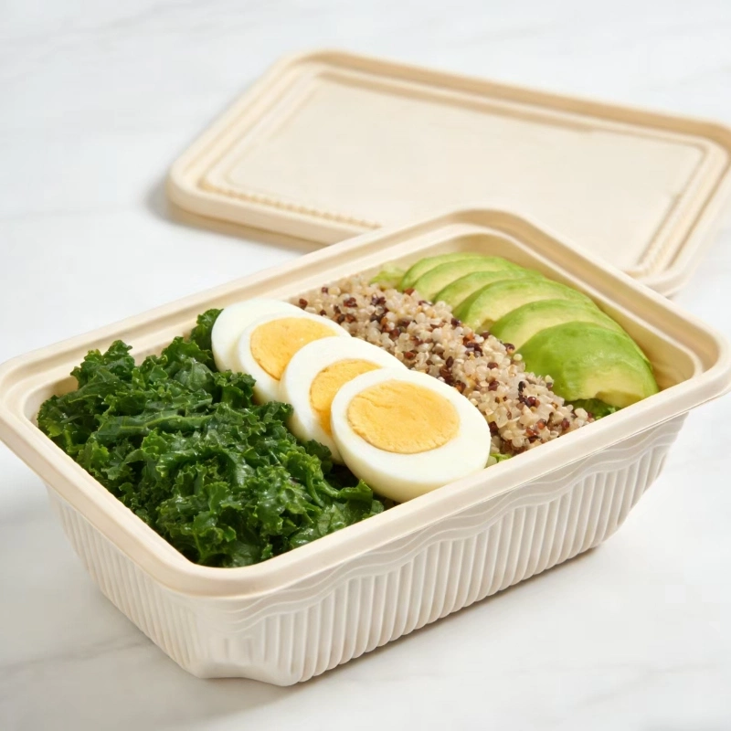 1000ml Plastik-Quadrat-Lunchbox2