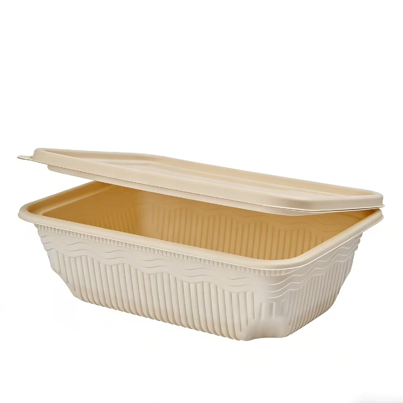1000ml Plastik-Quadrat-Lunchbox