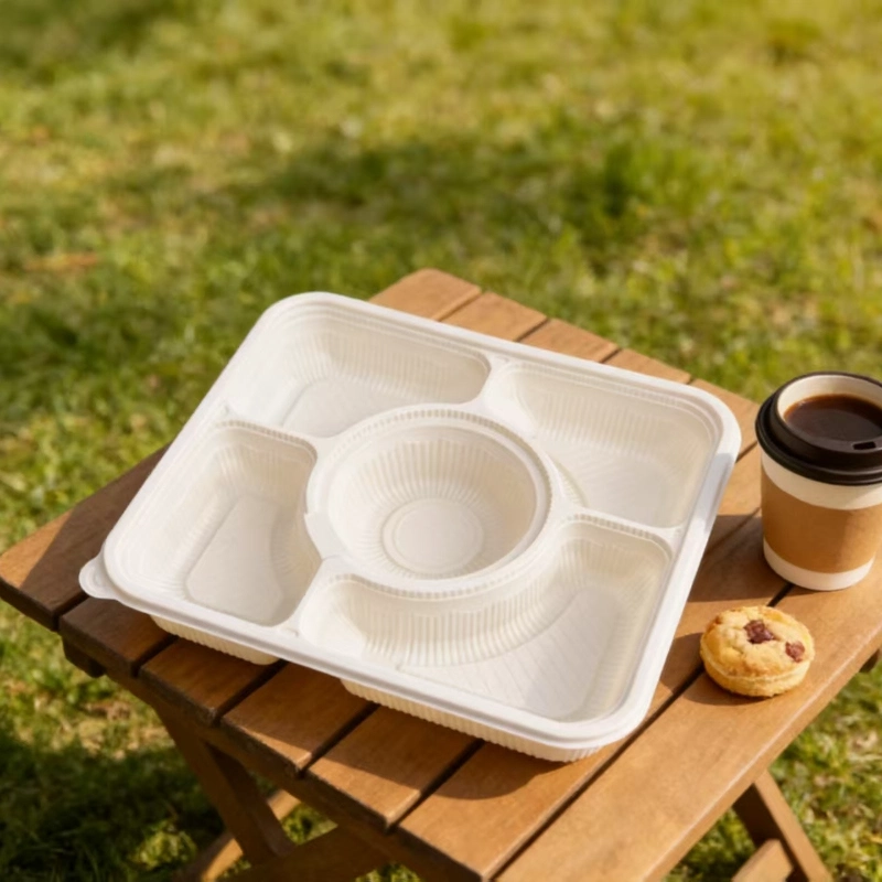 1500ml pla 5-compartment lunch box4