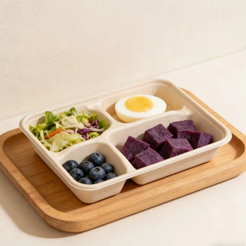 одноразовый лоток из багассы BagasseTray3
