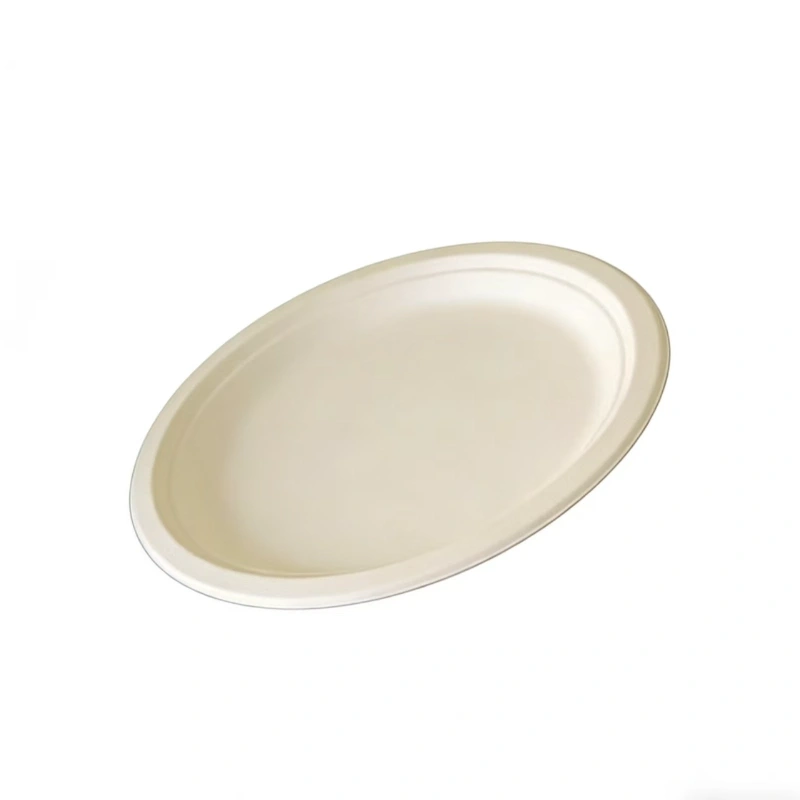 assiette ronde jetable en bagasse de 10 pouces