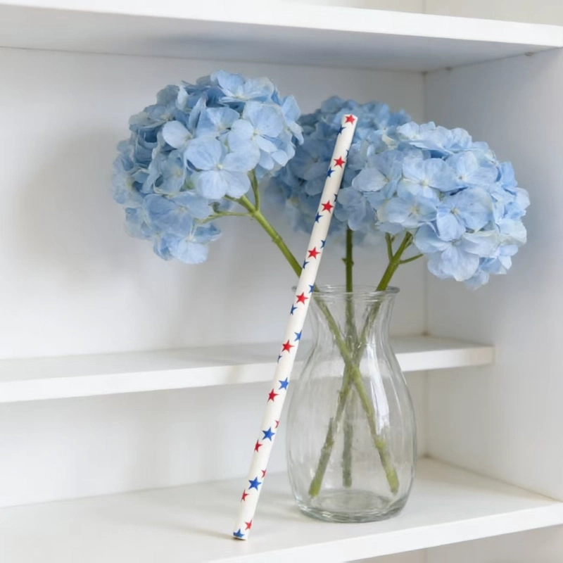 disposable paper straws3