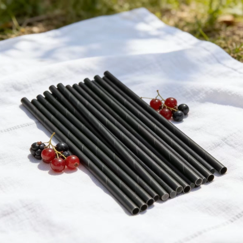 disposable paper straws11