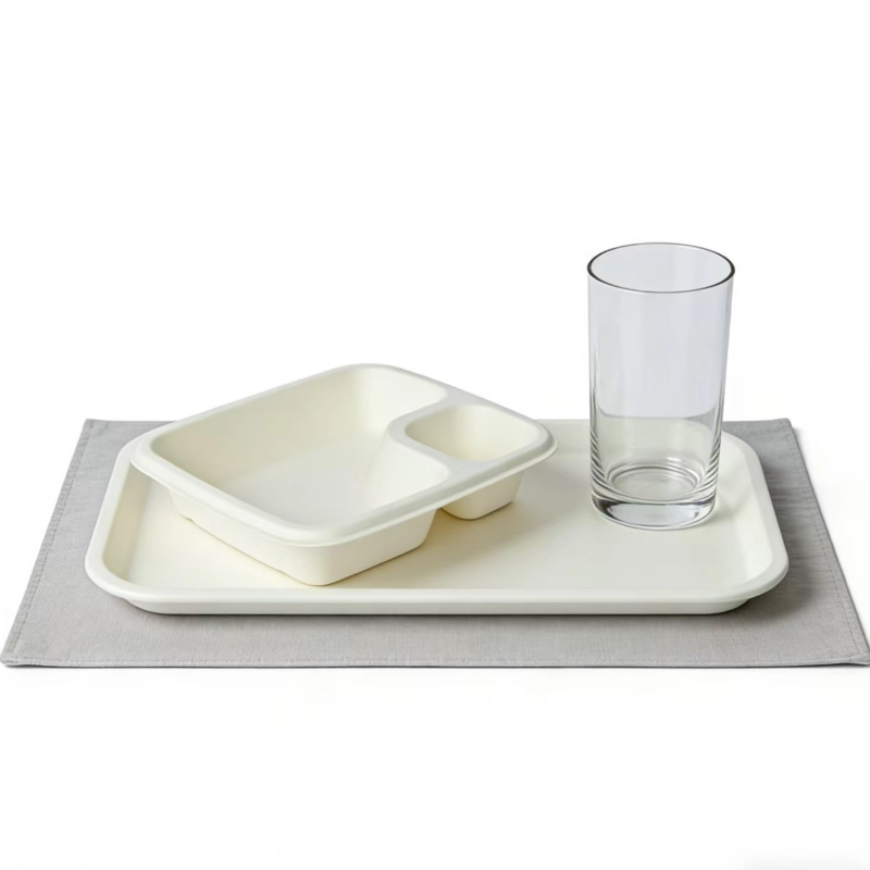 disposable bagasse tray2