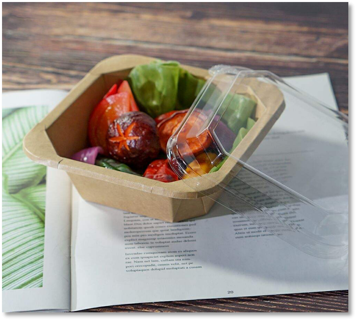 paper lunch boxes for catering