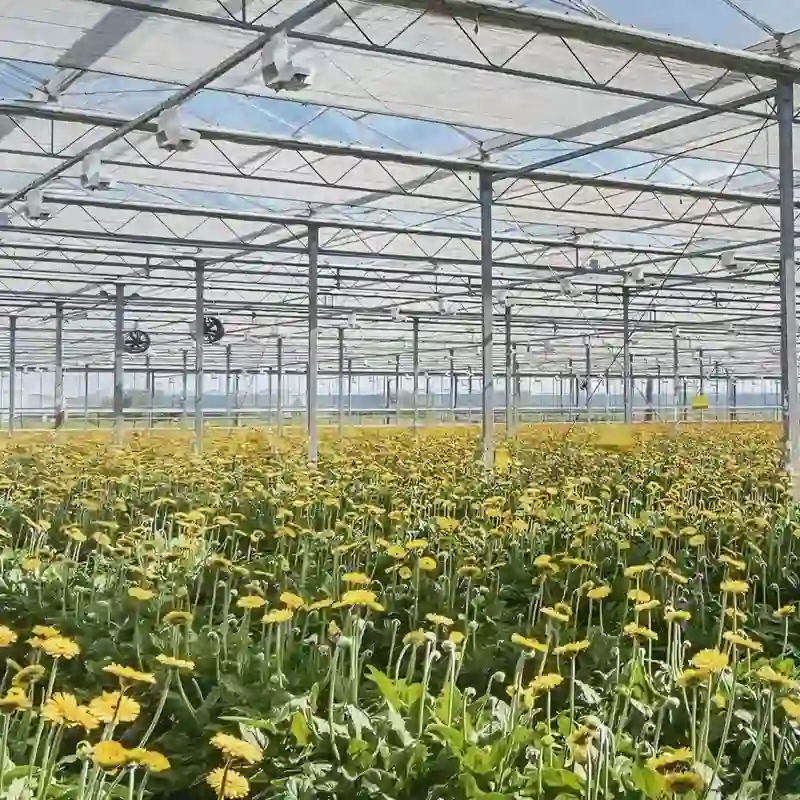 High-Performance Aluminum Foil Sunshade Nets