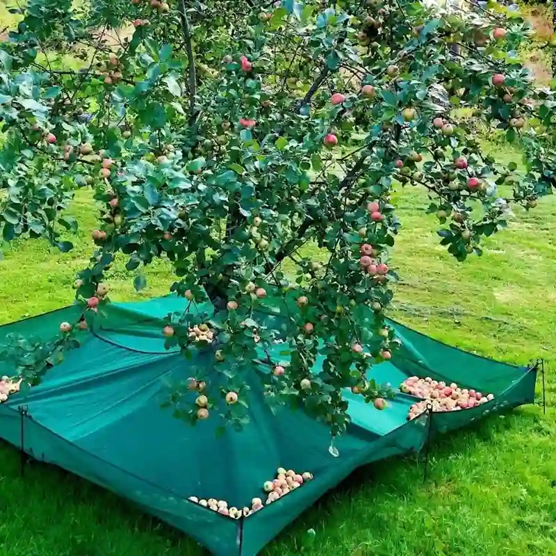 Fruit Harvest Collection Net Factory
