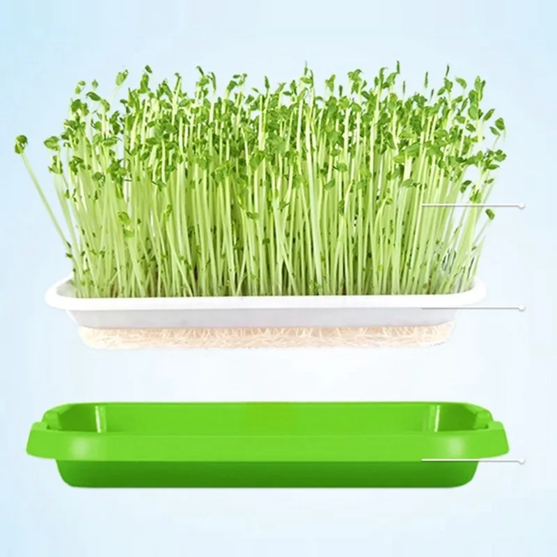 Hydroponic Net Pot Soilless Cultivation Supplier