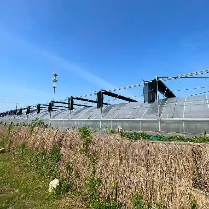 Durable Mono Sunshade Netting installed on agricultural farmland