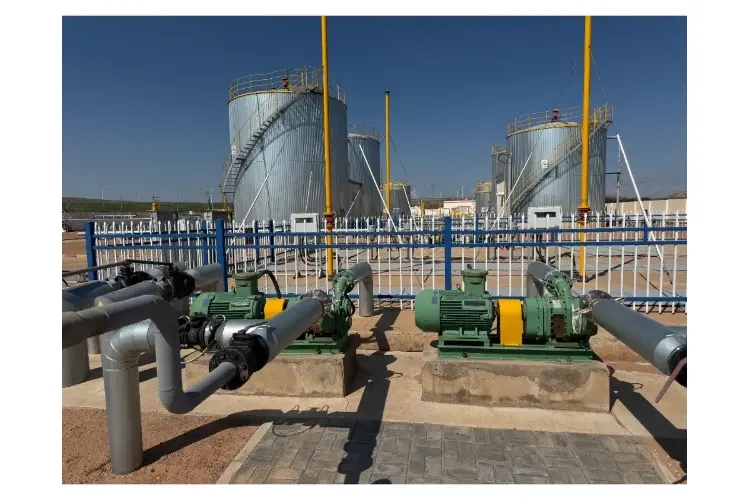 rotary pump for oil petro chemicals project