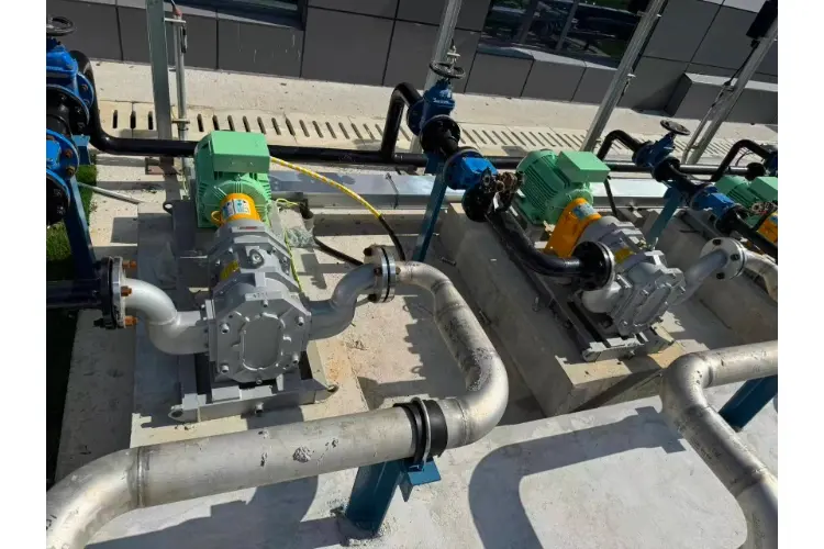High flow rotary pump