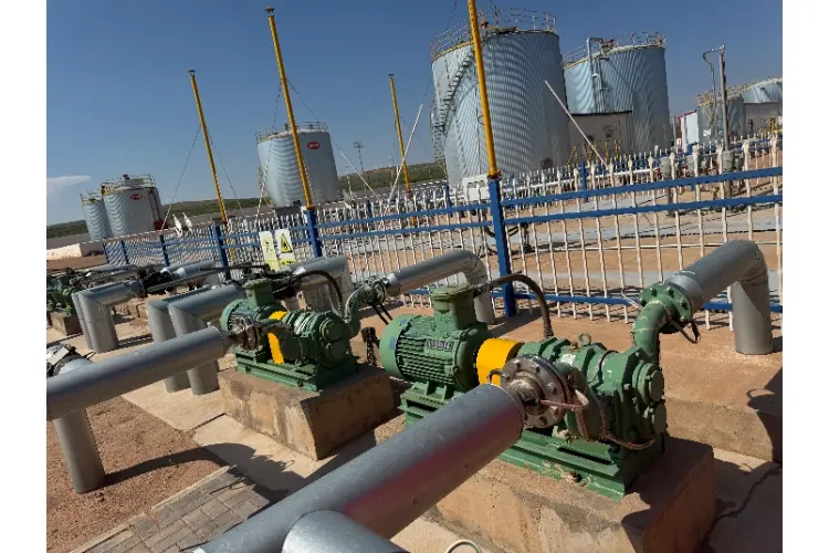 Crude oil transportation rotary pump