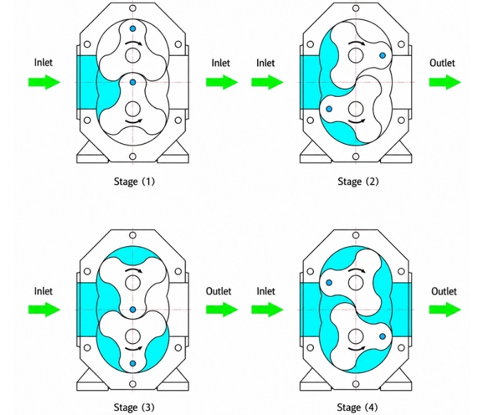 Rubber rotor pump for sewage sludge treatment