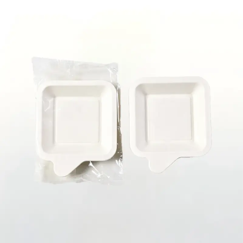 Disposable Sugarcane Bagasse Square Tray with Tab Handle