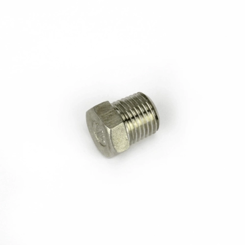 1/2 BSP Stainless Hex Plug