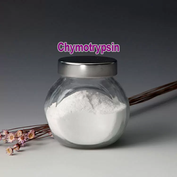 Chymotrypsin