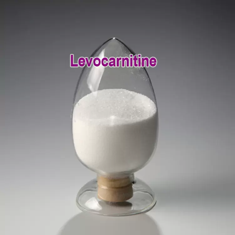 Levocarnitine (L-Carnitine)