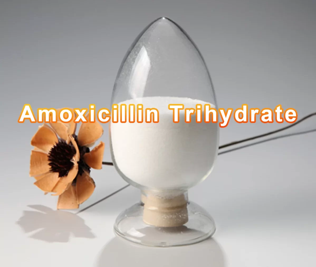  Amoxicillin Trihydrate