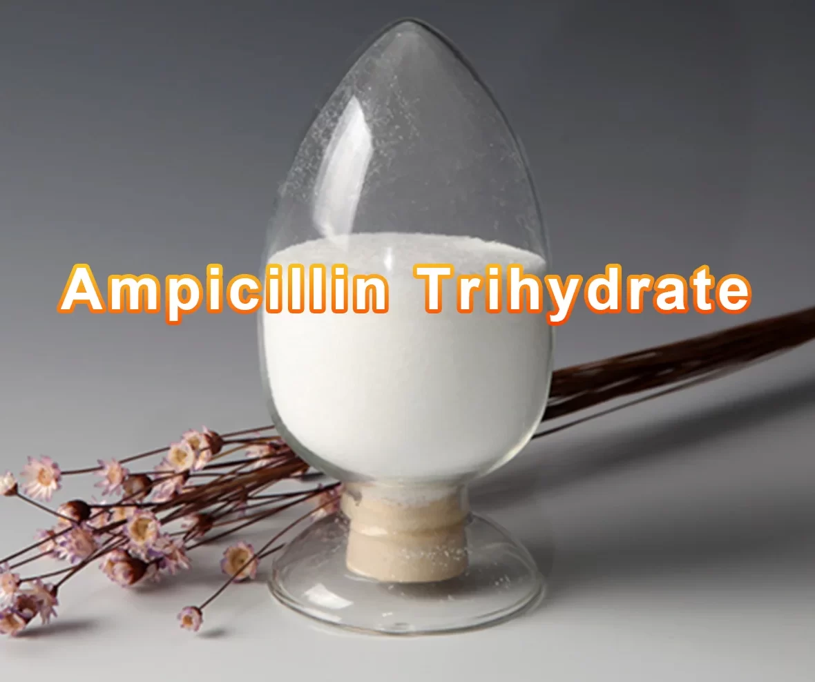 Ampicillin Trihydrate