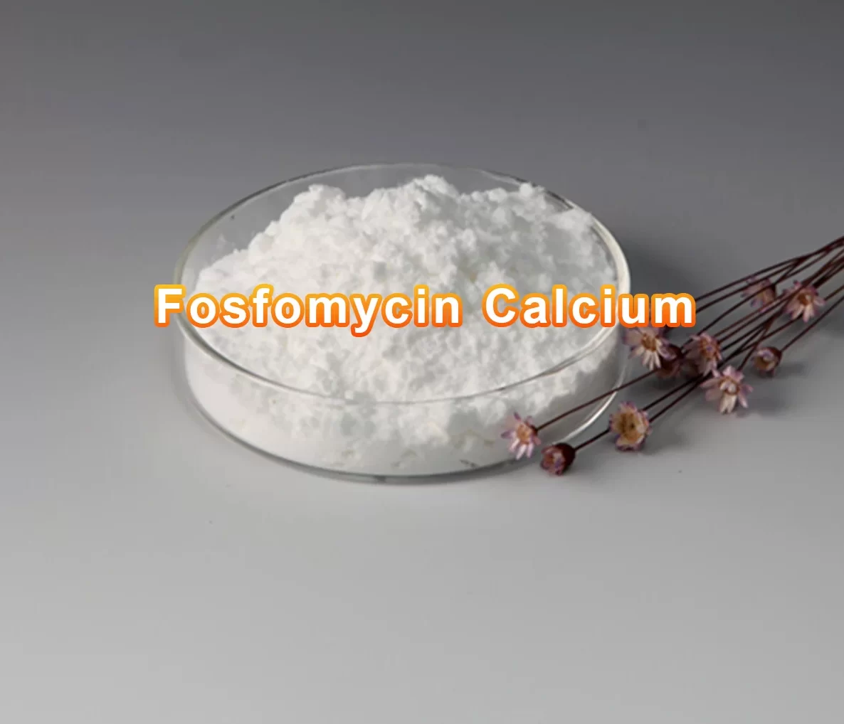  Fosfomycin Calcium