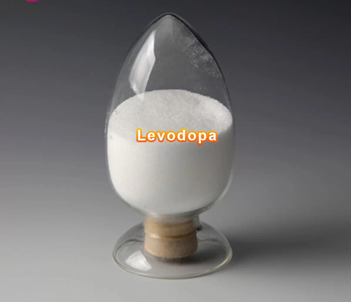  Levodopa 