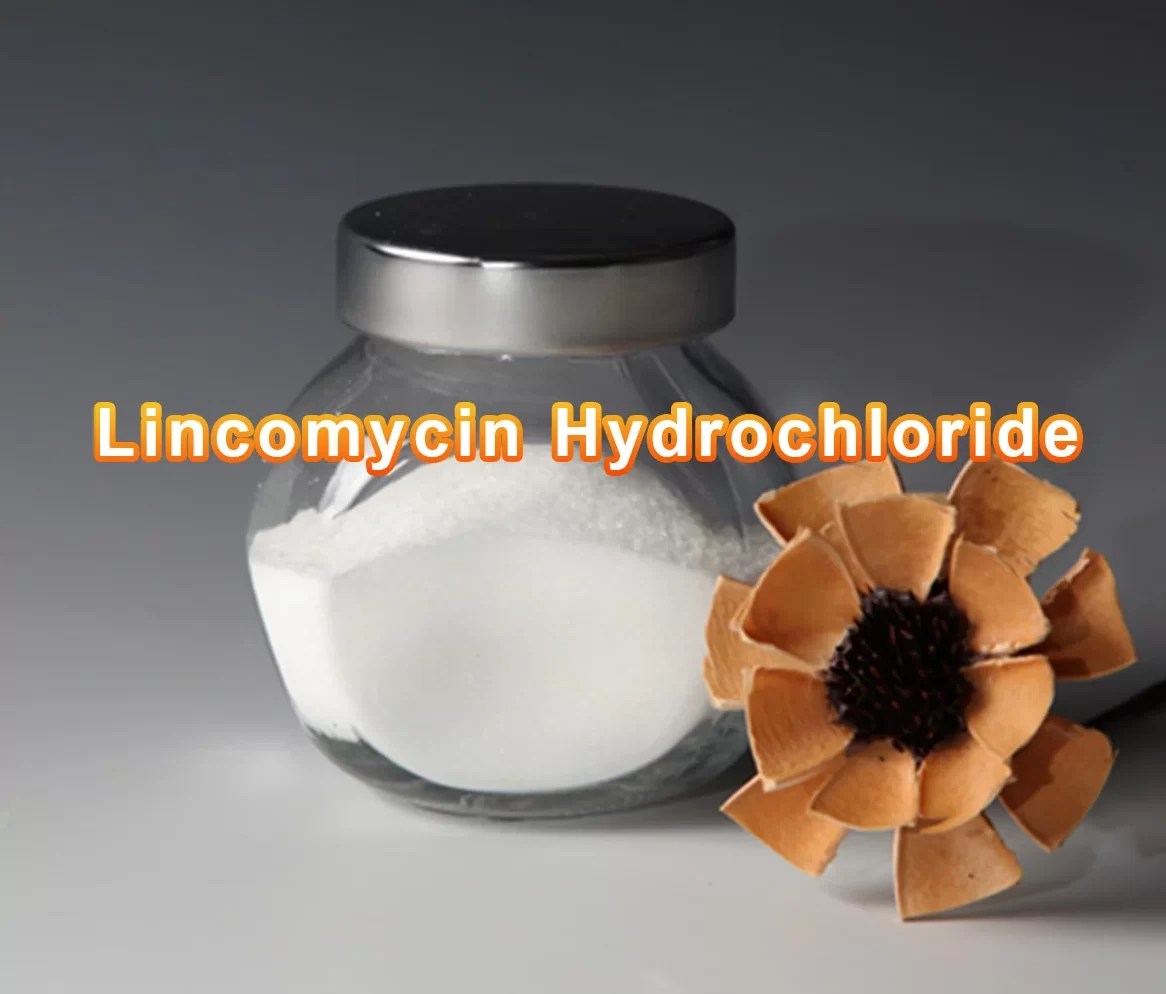 Lincomycin Hydrochloride