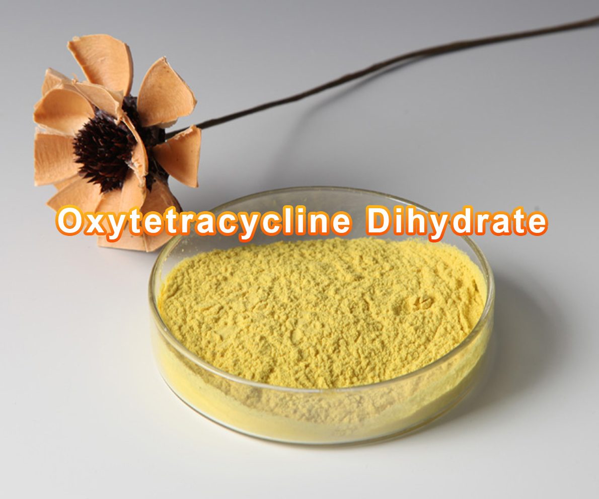  Oxytetracycline Hydrochloride