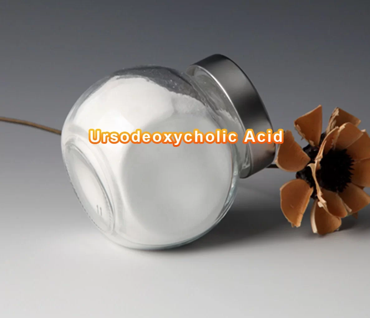 Ursodeoxycholic Acid