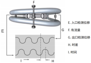 JDMF Coriolis Mass Flow Meter
