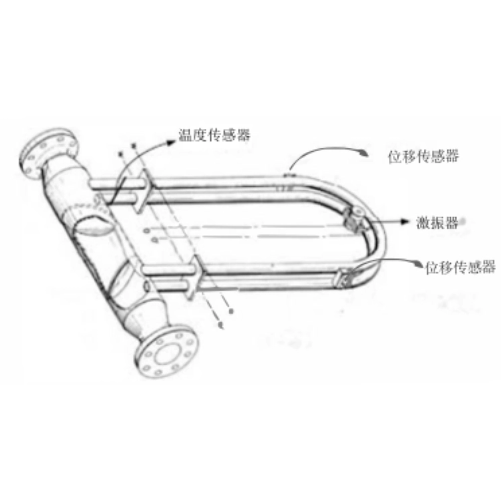 JDMF Coriolis Mass Flow Meter