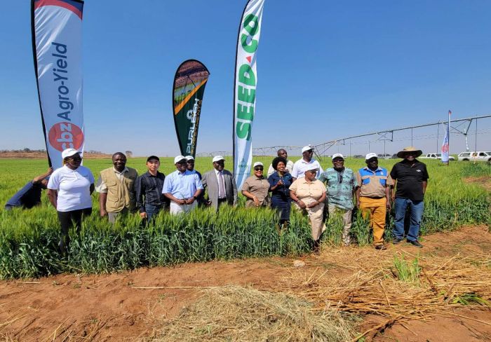 Projeto de geração de energia solar e irrigação por bombeamento de água Wanjin oficialmente inaugurado, impulsionando o desenvolvimento agrícola no Zimbábue