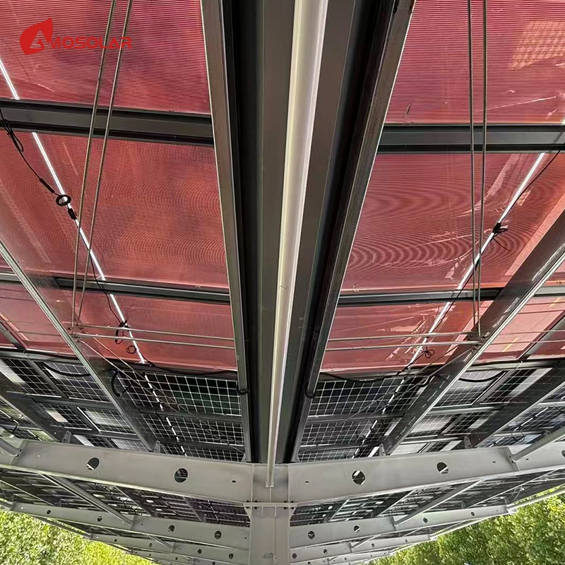 Perovskite Solar Module