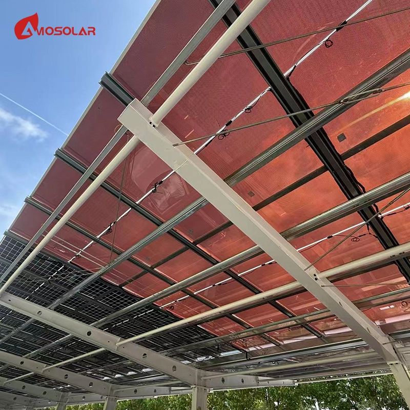 Perovskite Solar Panels