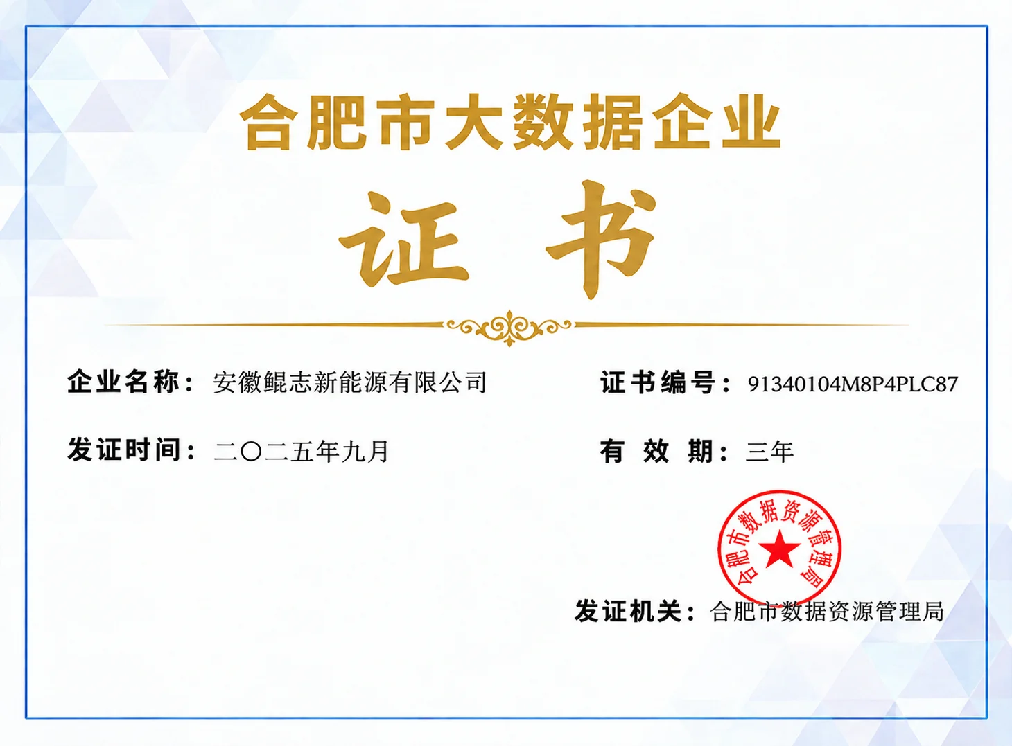 Hefei Big Data Enterprise
