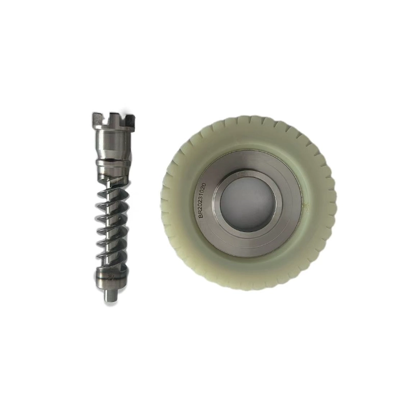 Worm gear and worm