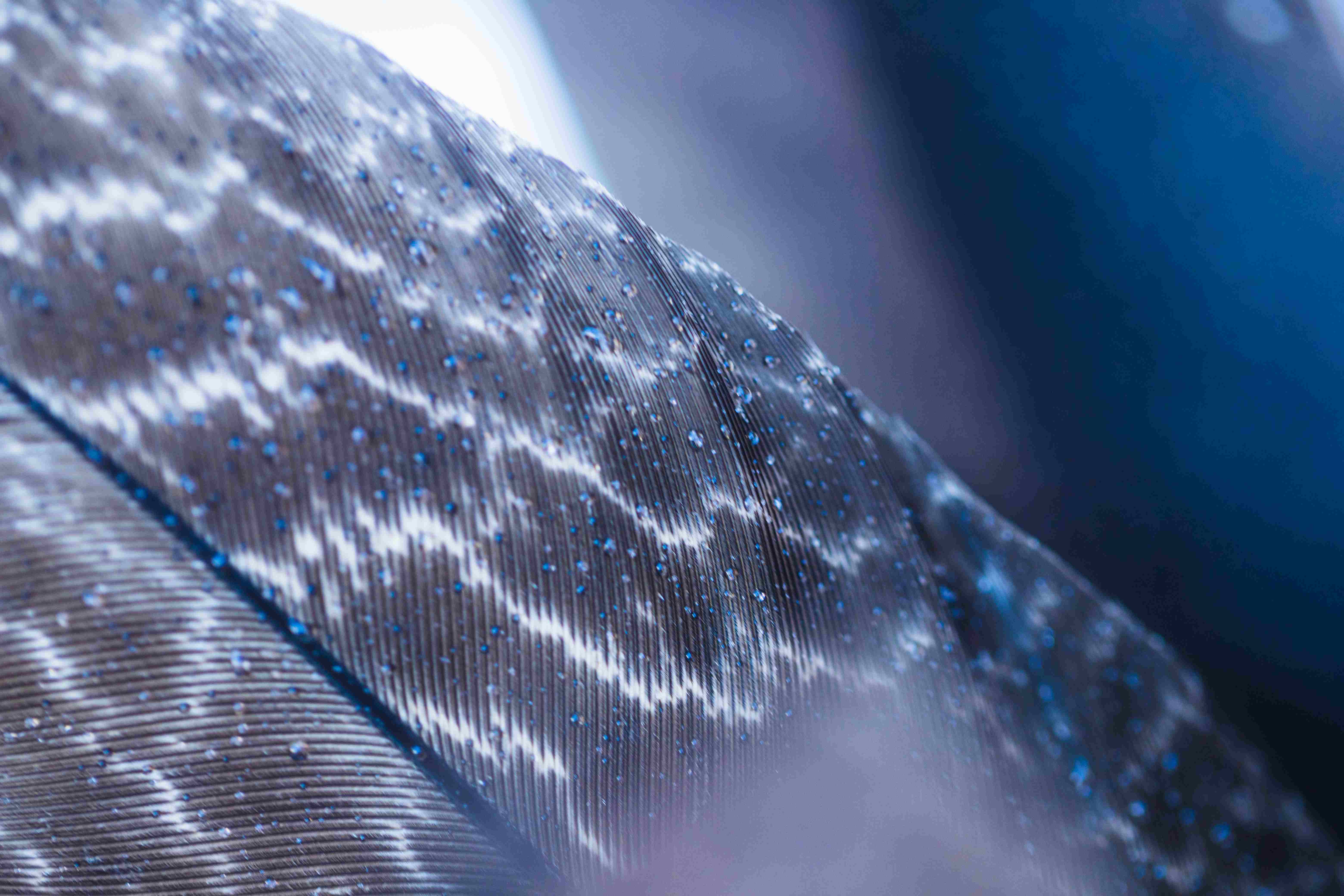 Functional Thin Films