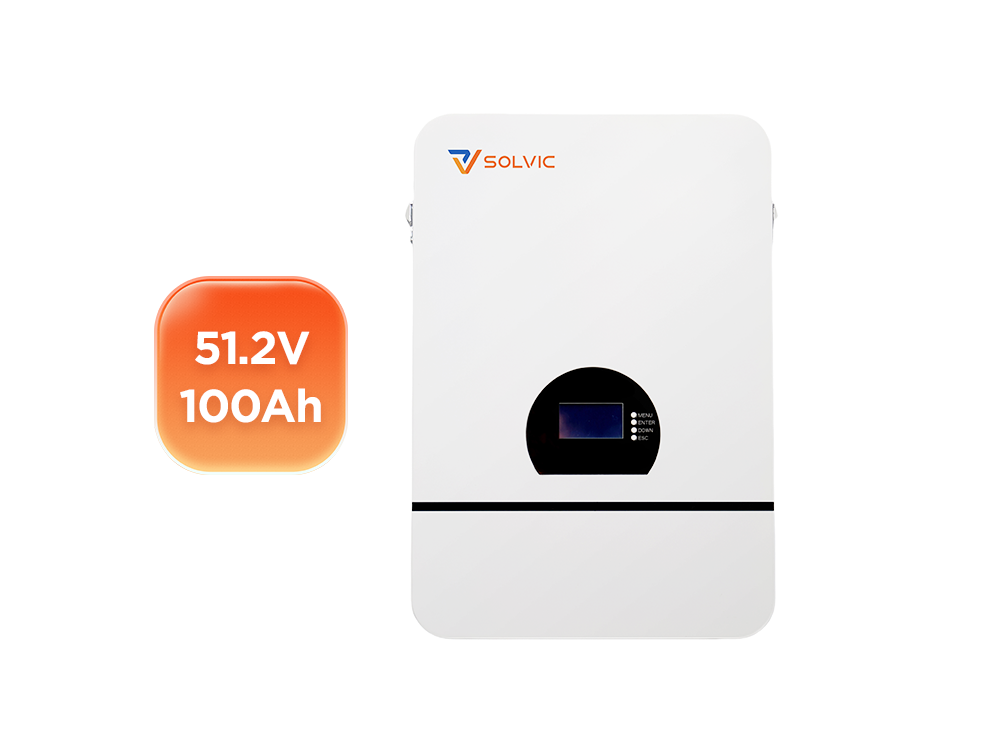 51.2V 100Ah 5.12kWh LiFePO4 lithium battery front view - wall mounted home solar energy storage system with smart BMS display