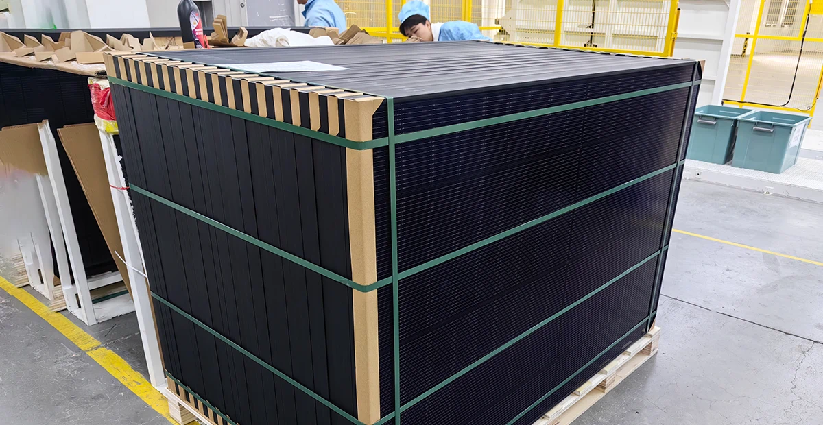 Solar panel pallet strapping, workers applying tension straps to secure PV modules on wooden pallet for shipment