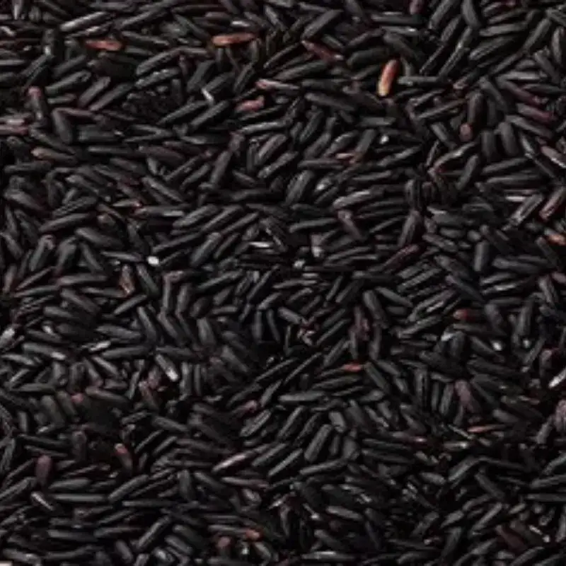 Black Rice