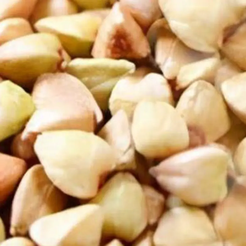 Buckwheat