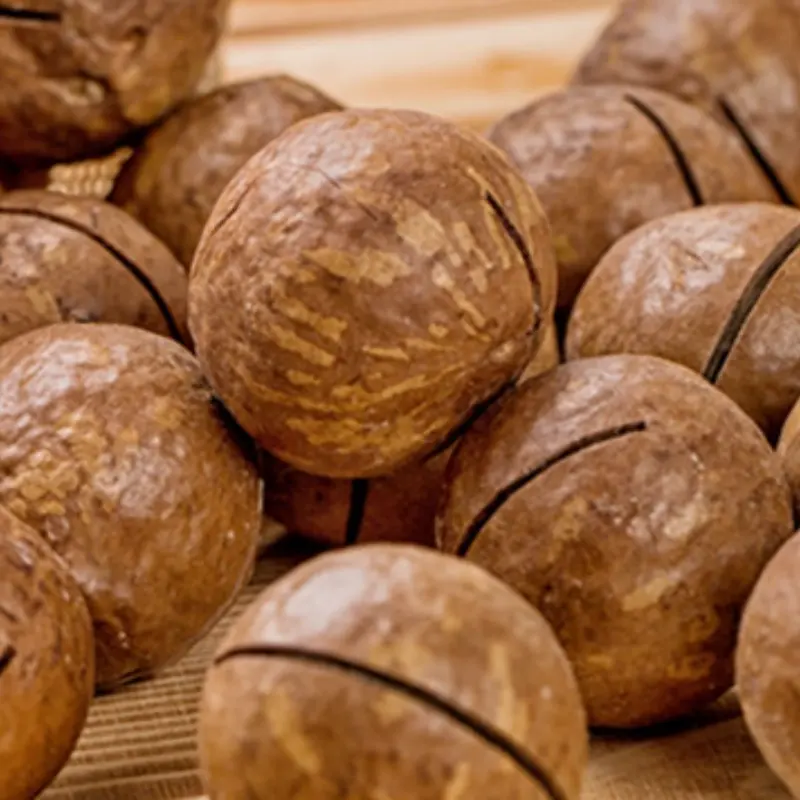 Macadamia Nut