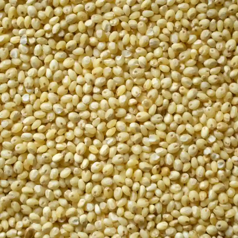 Millet