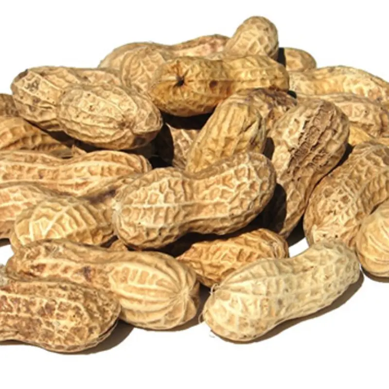 Peanut