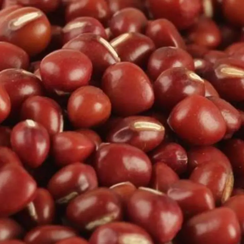 Red Bean