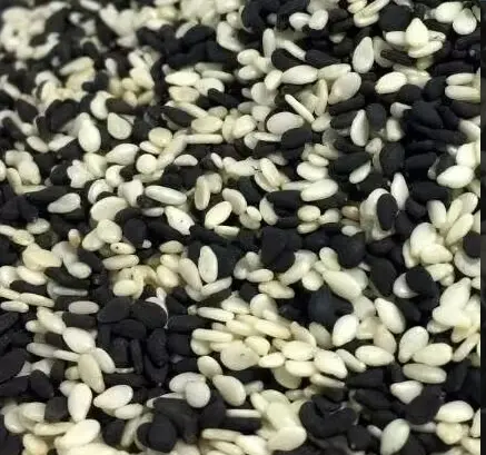 Sesame Seeds